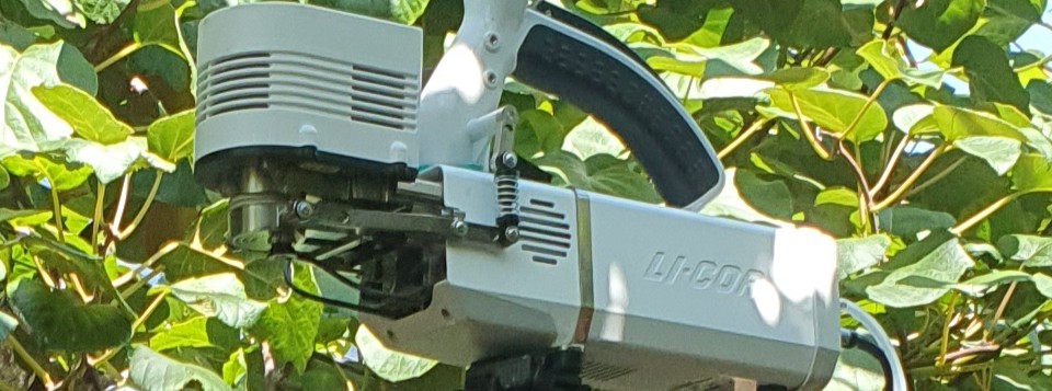 Giornate Tecniche SOI 2026 - Bari